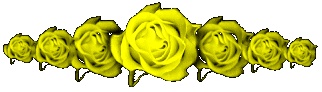 yellow rose bar